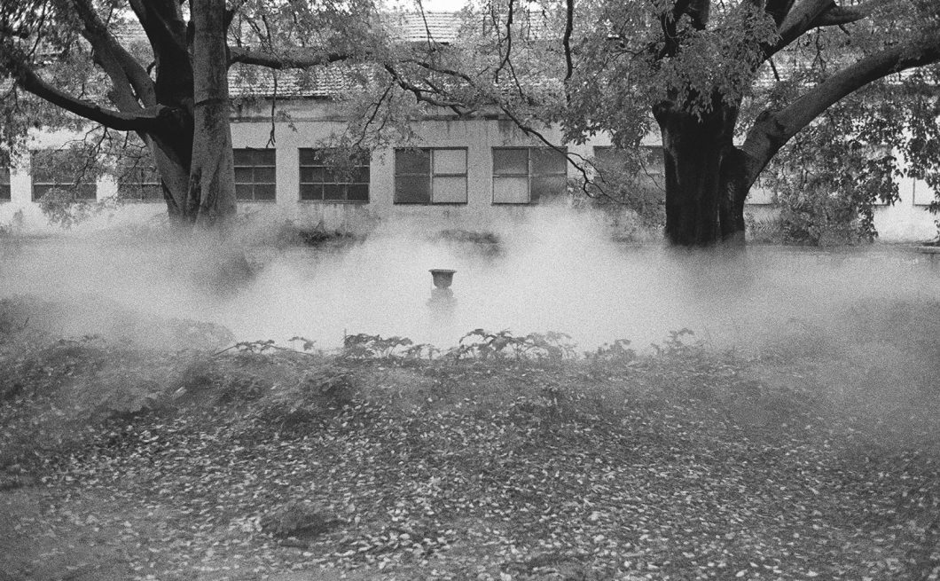 AMAZON LAB – “NO AR” ACTIVATION, WORK BY LAURA VINCI