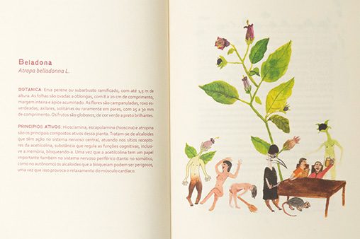 Laboratório Amazônico – Conversa com Pedro Luz sobre o uso de plantas psicoativas na Amazônia